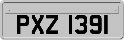 PXZ1391