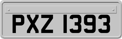 PXZ1393