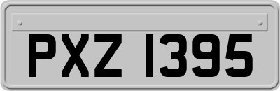 PXZ1395