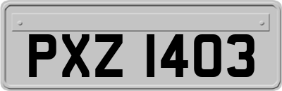 PXZ1403