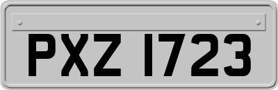 PXZ1723