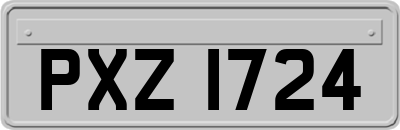 PXZ1724