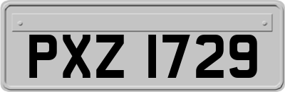 PXZ1729