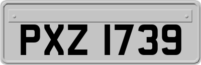 PXZ1739