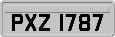 PXZ1787