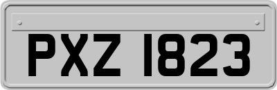 PXZ1823