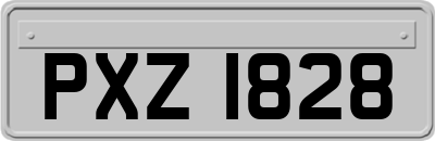 PXZ1828