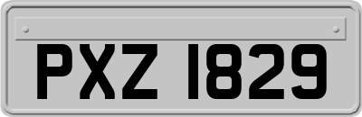 PXZ1829