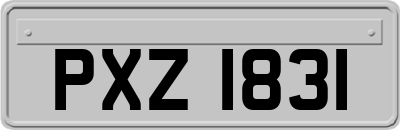 PXZ1831