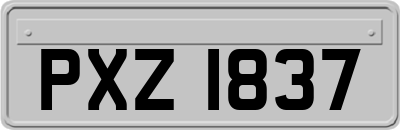 PXZ1837