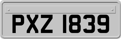 PXZ1839