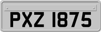 PXZ1875