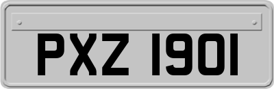 PXZ1901