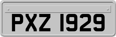PXZ1929