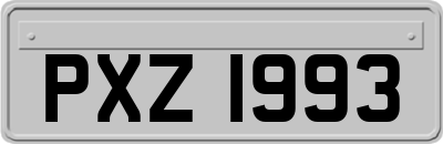 PXZ1993