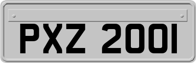 PXZ2001