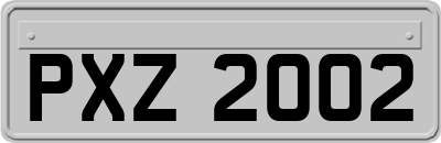 PXZ2002