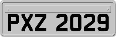 PXZ2029