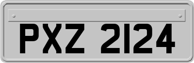 PXZ2124