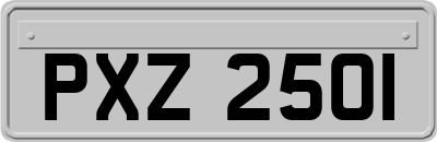 PXZ2501