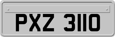 PXZ3110