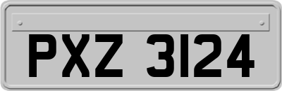 PXZ3124