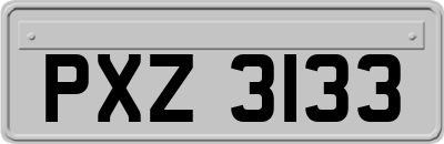 PXZ3133