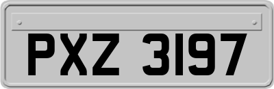 PXZ3197