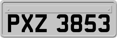 PXZ3853