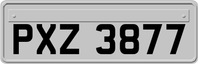 PXZ3877