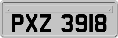 PXZ3918