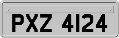 PXZ4124