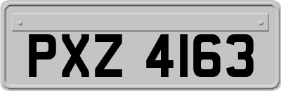 PXZ4163