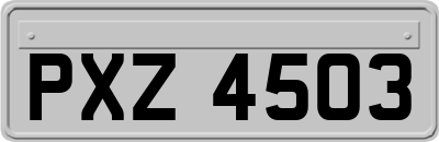 PXZ4503