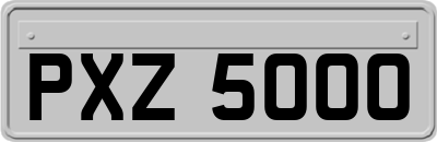 PXZ5000