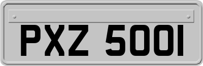 PXZ5001