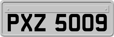 PXZ5009