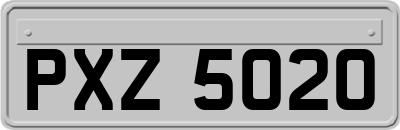 PXZ5020