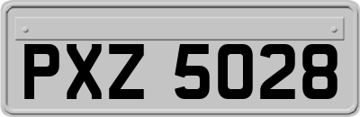 PXZ5028