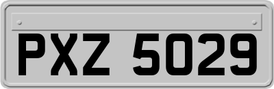 PXZ5029