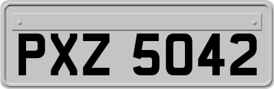 PXZ5042