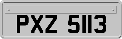 PXZ5113