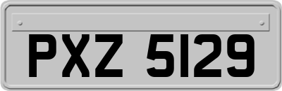 PXZ5129