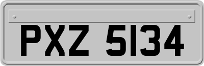 PXZ5134