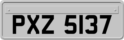 PXZ5137