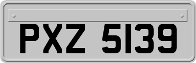 PXZ5139