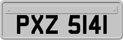 PXZ5141