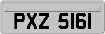 PXZ5161