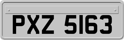 PXZ5163