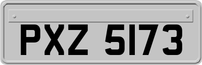 PXZ5173